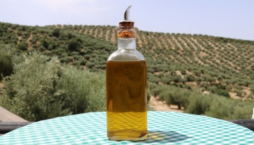  Aceite de Jaén Online: Te traemos el mejor aceite del mundo directo de la almazara hasta tu mesa