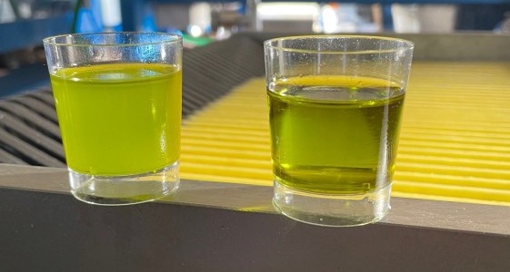 Aceite de oliva sin filtrar ¿qué es?